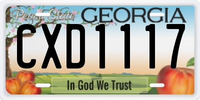GA license plate CXD1117