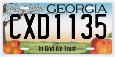 GA license plate CXD1135
