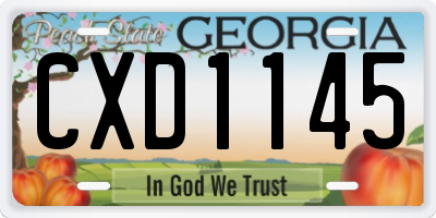 GA license plate CXD1145