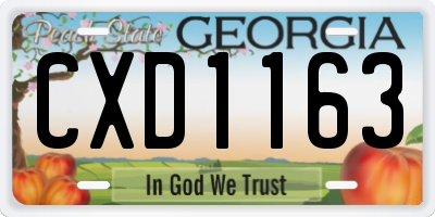 GA license plate CXD1163