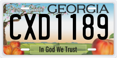GA license plate CXD1189