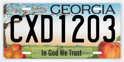 GA license plate CXD1203
