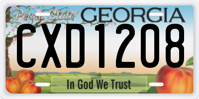 GA license plate CXD1208