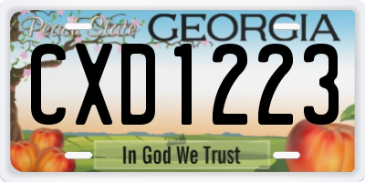 GA license plate CXD1223