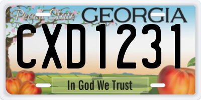 GA license plate CXD1231