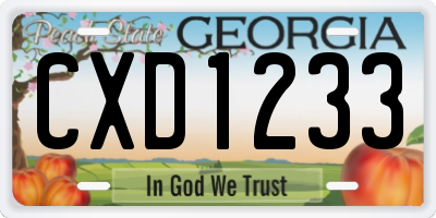 GA license plate CXD1233