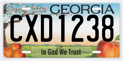 GA license plate CXD1238
