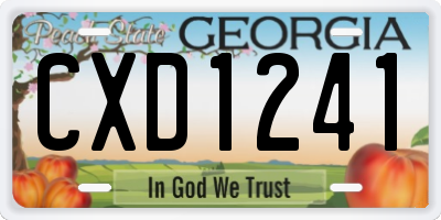 GA license plate CXD1241