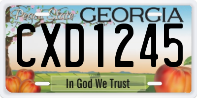 GA license plate CXD1245