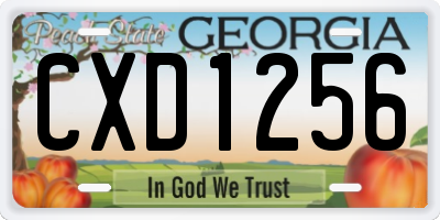 GA license plate CXD1256