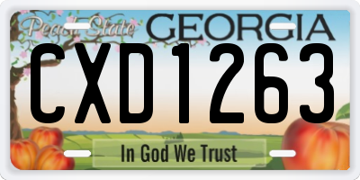 GA license plate CXD1263