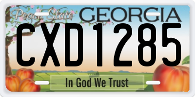 GA license plate CXD1285