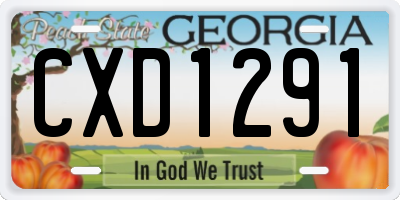GA license plate CXD1291