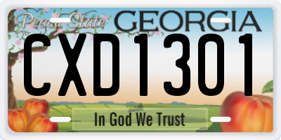 GA license plate CXD1301