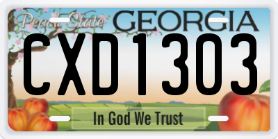 GA license plate CXD1303