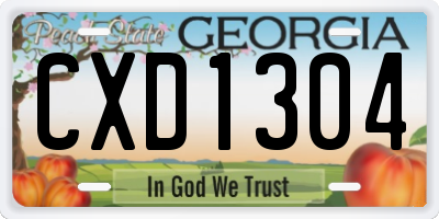 GA license plate CXD1304