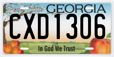 GA license plate CXD1306