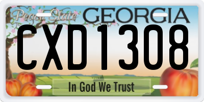GA license plate CXD1308