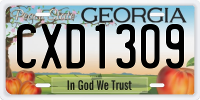 GA license plate CXD1309