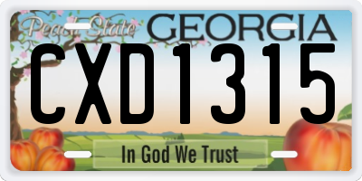 GA license plate CXD1315