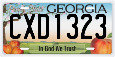 GA license plate CXD1323