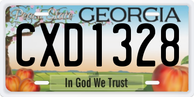 GA license plate CXD1328