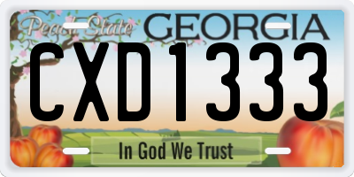 GA license plate CXD1333