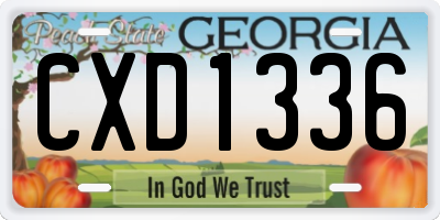 GA license plate CXD1336