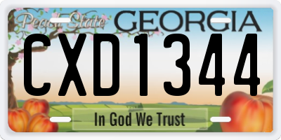 GA license plate CXD1344