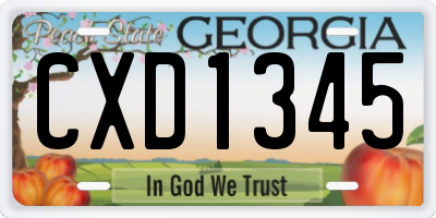 GA license plate CXD1345