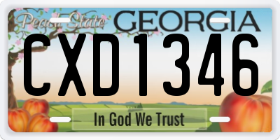 GA license plate CXD1346