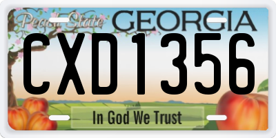 GA license plate CXD1356