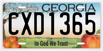 GA license plate CXD1365