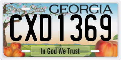 GA license plate CXD1369