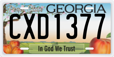 GA license plate CXD1377