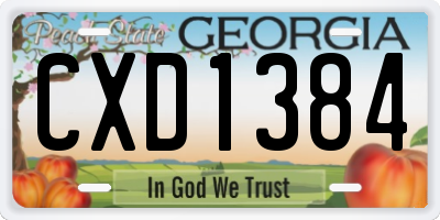 GA license plate CXD1384
