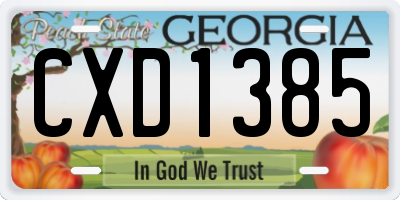 GA license plate CXD1385