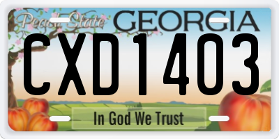 GA license plate CXD1403