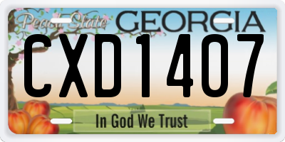GA license plate CXD1407