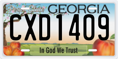 GA license plate CXD1409