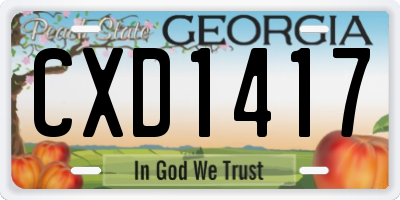 GA license plate CXD1417