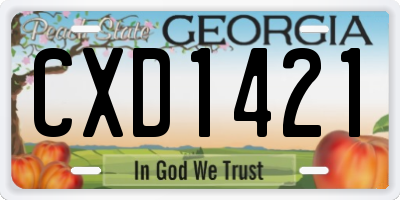GA license plate CXD1421