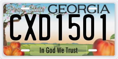 GA license plate CXD1501
