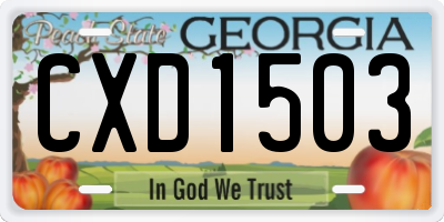 GA license plate CXD1503