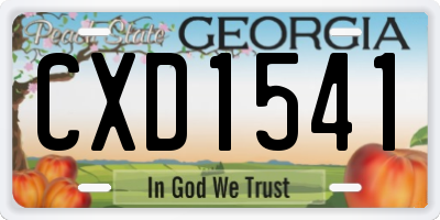 GA license plate CXD1541
