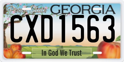 GA license plate CXD1563