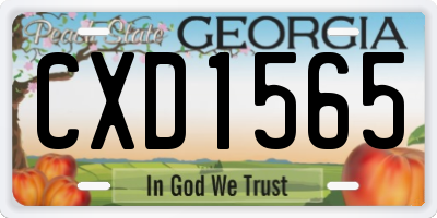 GA license plate CXD1565