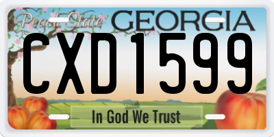 GA license plate CXD1599