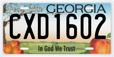 GA license plate CXD1602