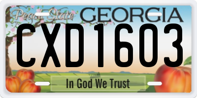 GA license plate CXD1603